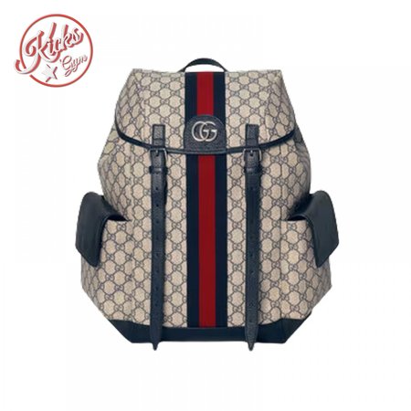 Gucci Ophidia Gg Backpack - GBP109